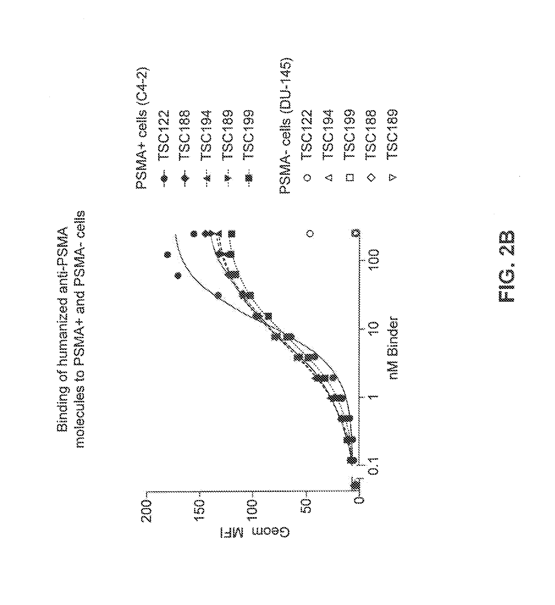 Prostate-Specific Membrane Antigen Binding Proteins and Related Compositions and Methods