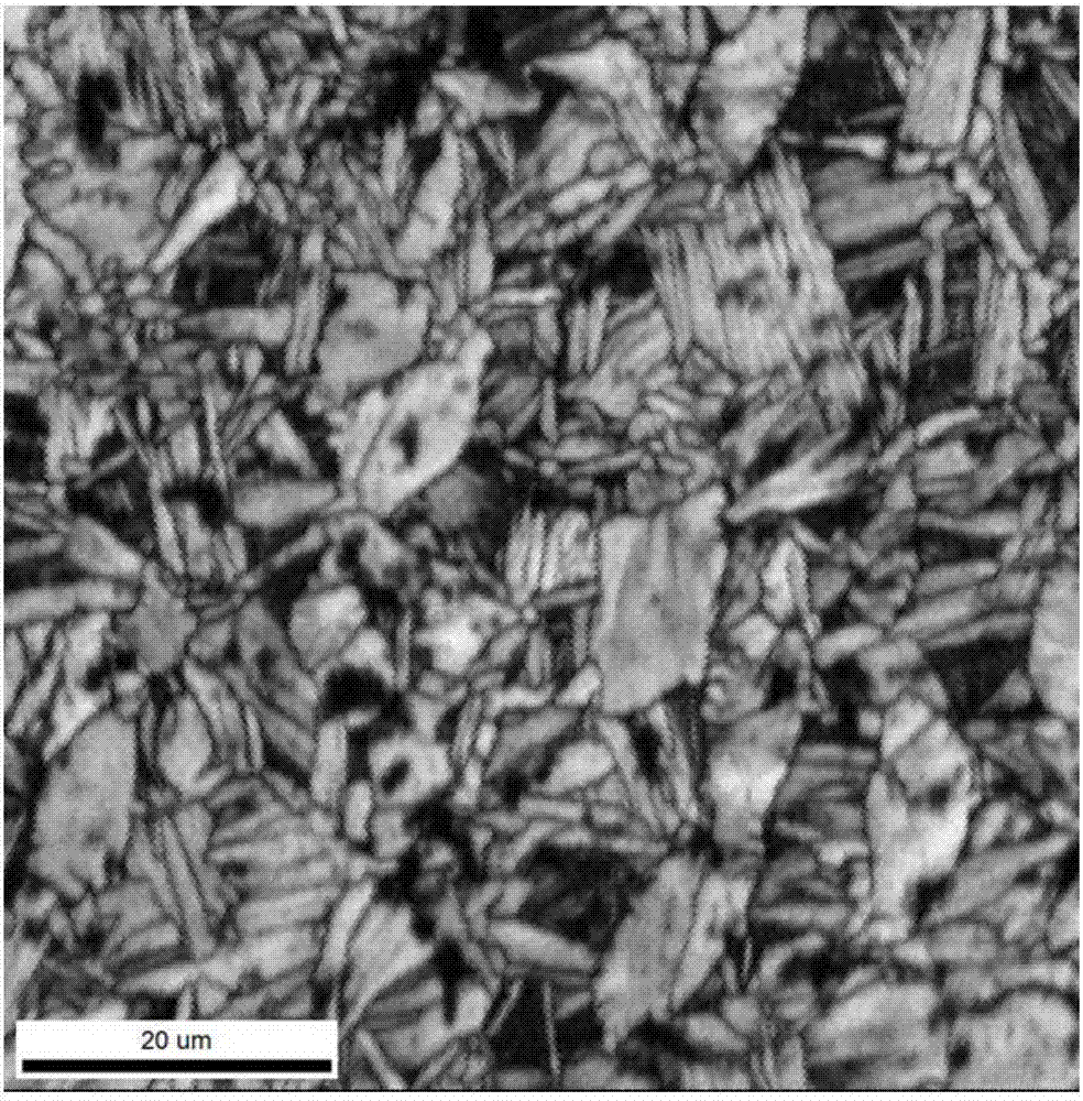 A thermal processing method for preparing multi-scale and multi-configuration dual-phase titanium alloy structure