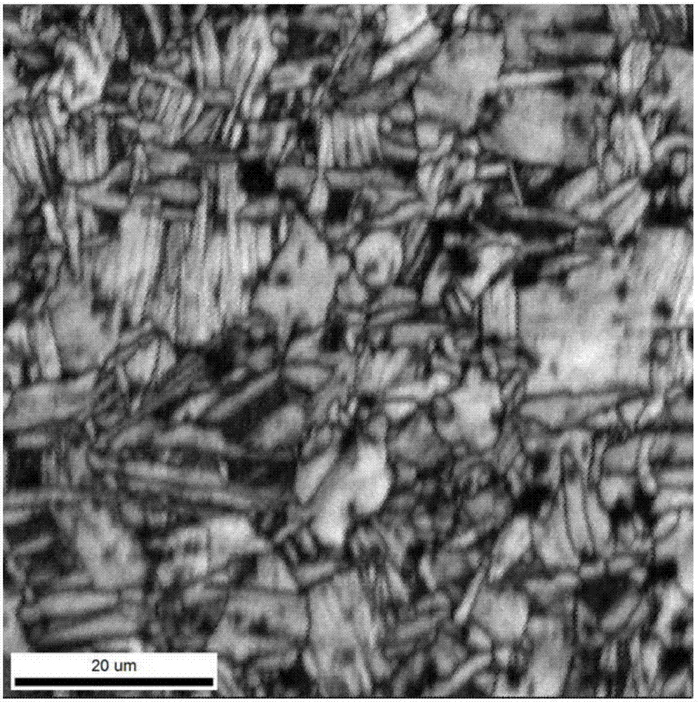 A thermal processing method for preparing multi-scale and multi-configuration dual-phase titanium alloy structure