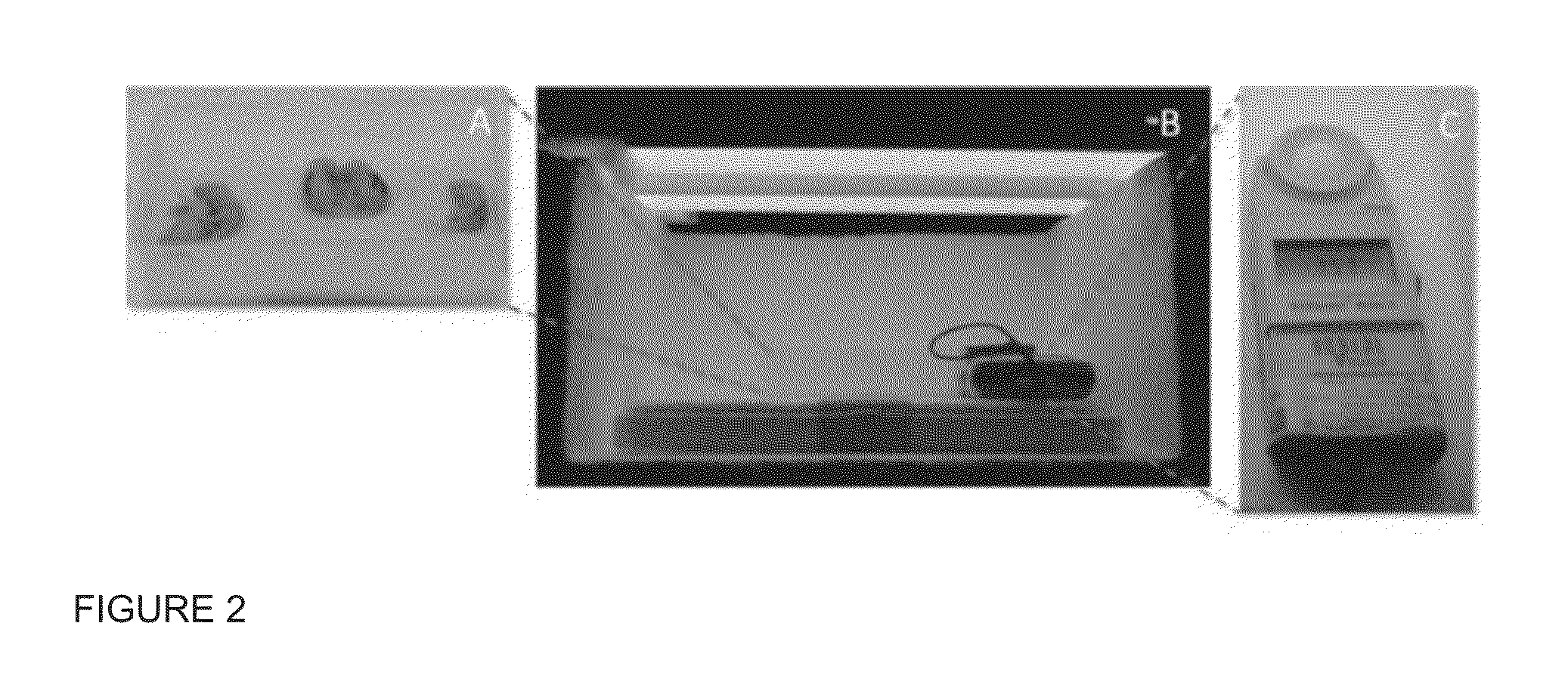 Formulations and uses for microparticle delivery of zinc protoporphyrins