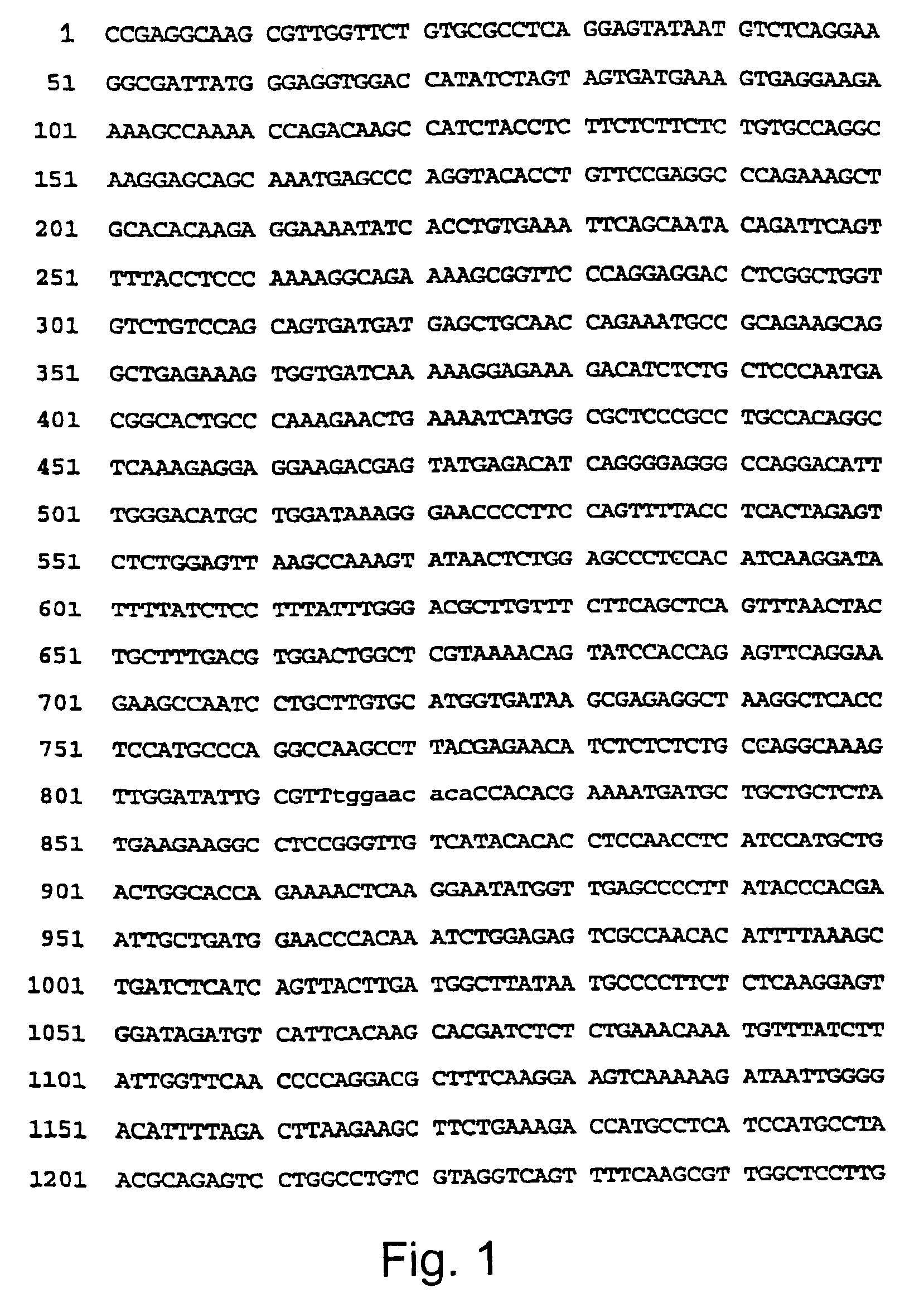 Tyrosine DNA phosphodiesterases (TDP) and related polypeptides nucleic acids vectors TDP producing host cells antibodies and methods of use