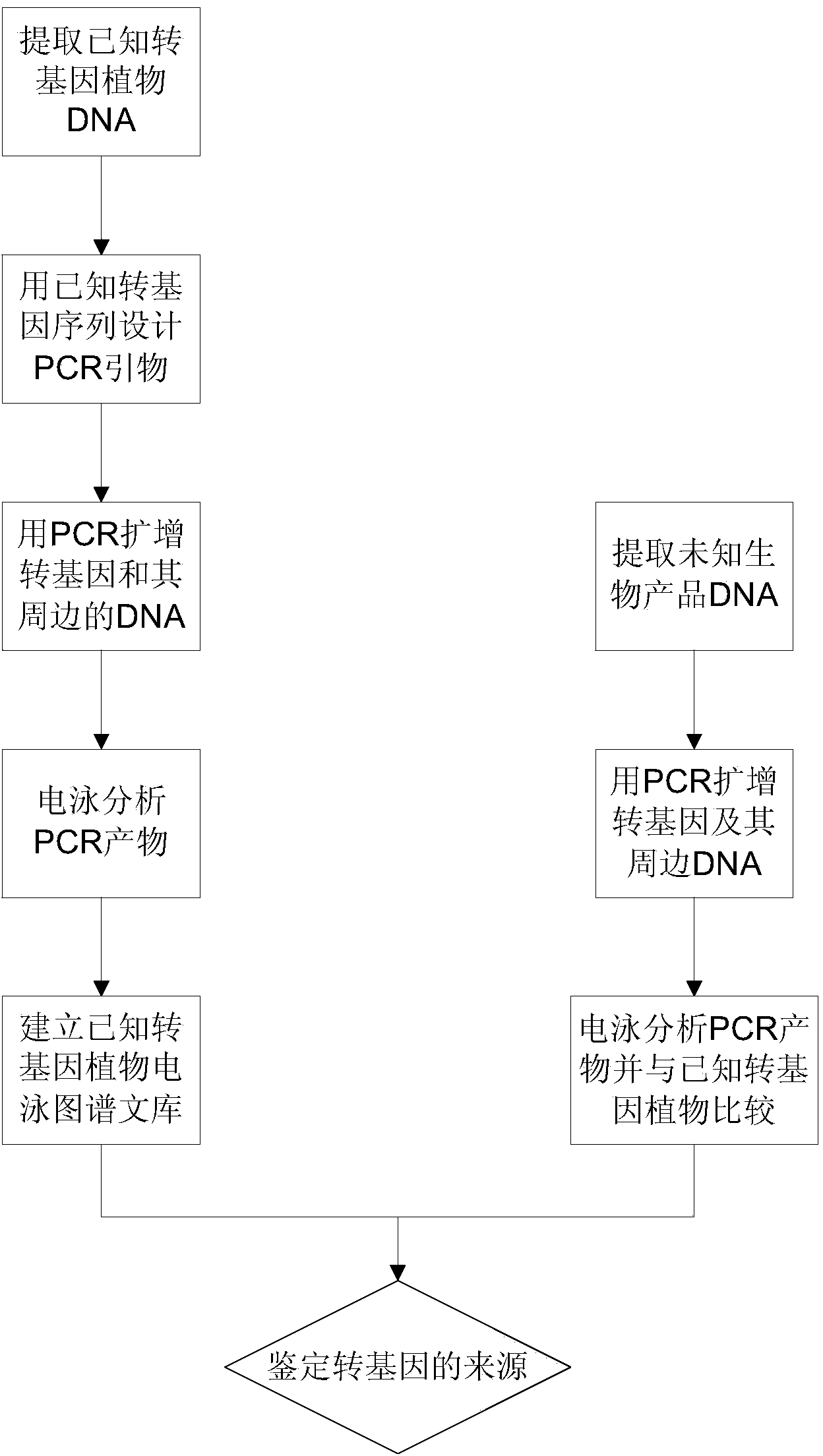 DNA (deoxyribonucleic acid) detection method for quickly distinguishing transgenic plant and product thereof