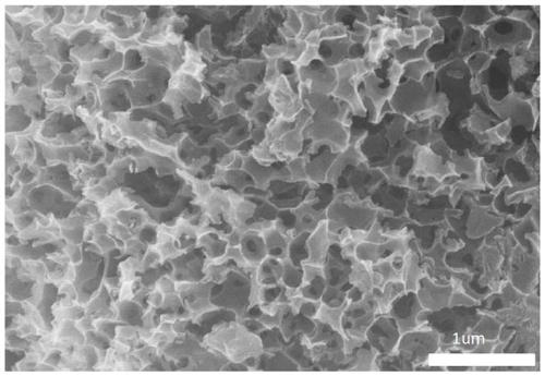 Preparation method and application of novel lithium ion battery negative electrode material carbonized grape seed