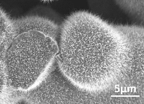 Aluminum-doped three-dimensional nano-porous metal sulfide hydrogen evolution electrode preparation and application methods