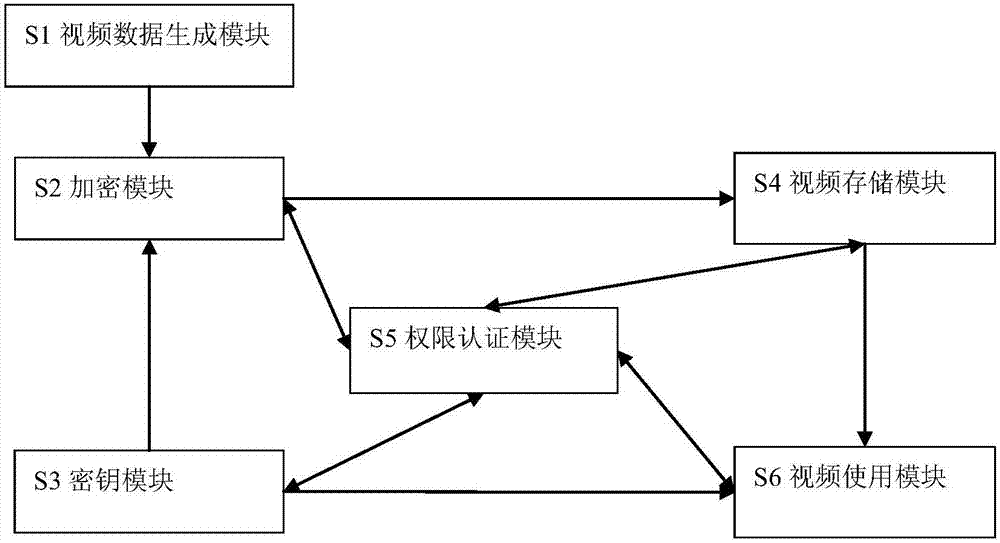 Video data protection system and processing method