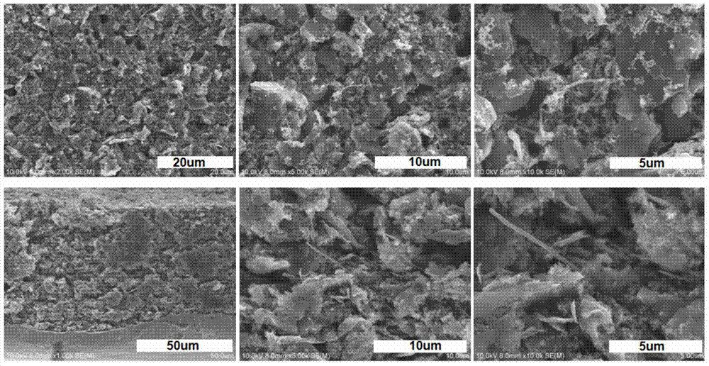 Silicon/carbon composite anode material for lithium ion batteries and preparation method thereof