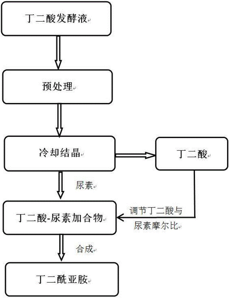 Method for preparing succinimide with succinic acid fermentation liquor