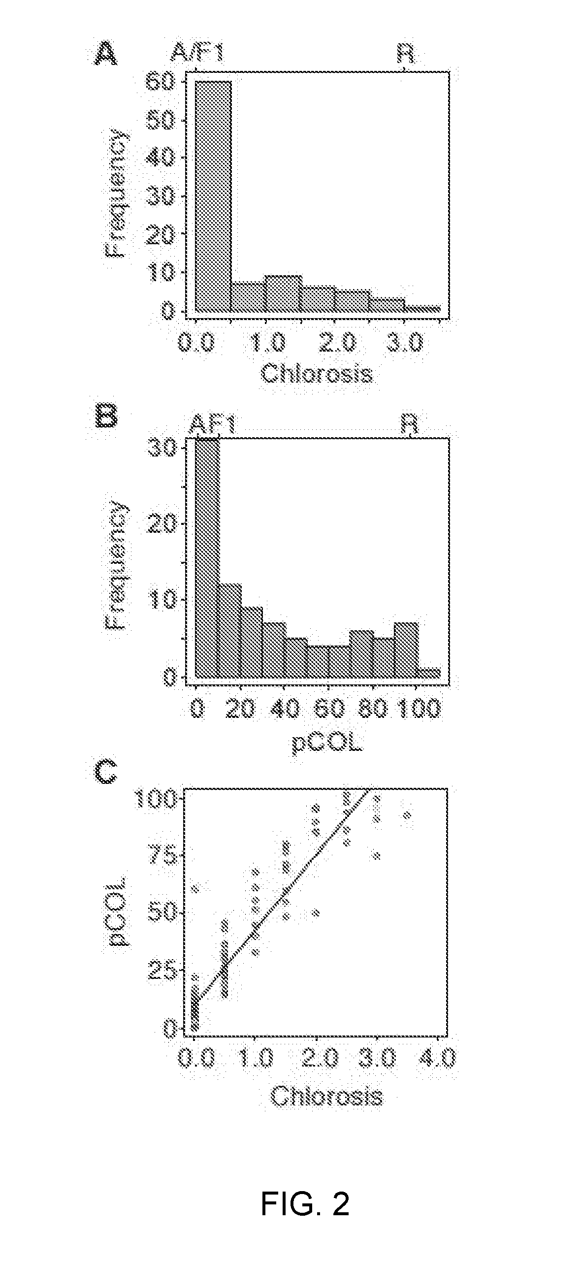 Wheat stripe rust resistance genes and methods of use
