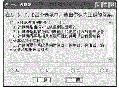Computer application examination system