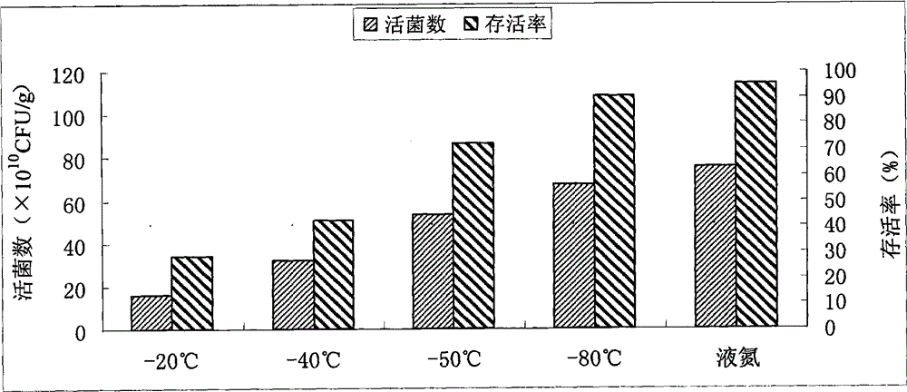 Protection agent applied to feeding enterococcus faecium freeze-drying preparation and preparation method of protection agent