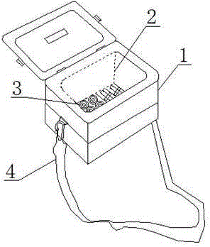 Medical low-temperature freezer convenient to carry