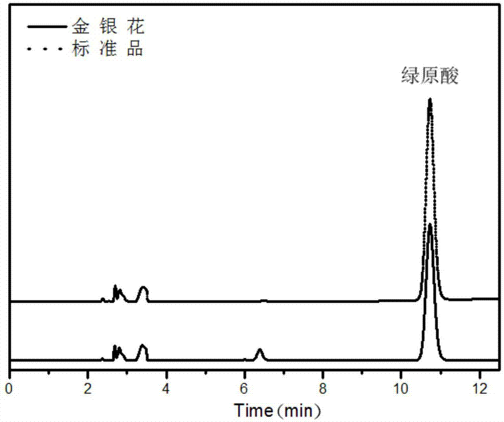 Method for extracting chlorogenic acid from honeysuckle flower