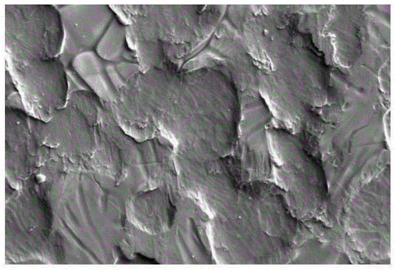 Control method of surface cracks of passivated membrane of chromium-free passivated galvanized plate