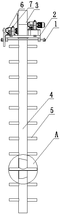 Light-yellow flammulina velutipes and cultivation method thereof