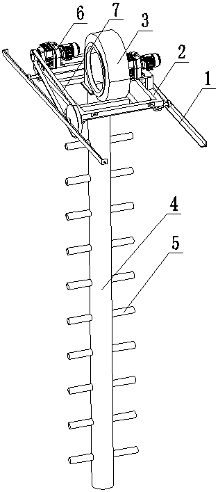 Light-yellow flammulina velutipes and cultivation method thereof