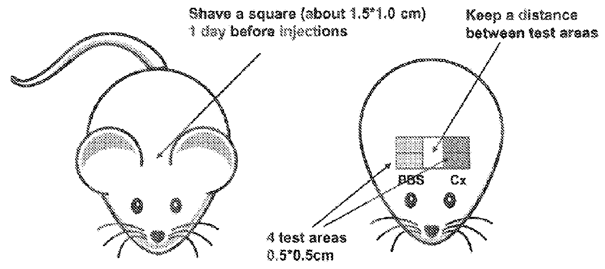 Compositions and uses thereof