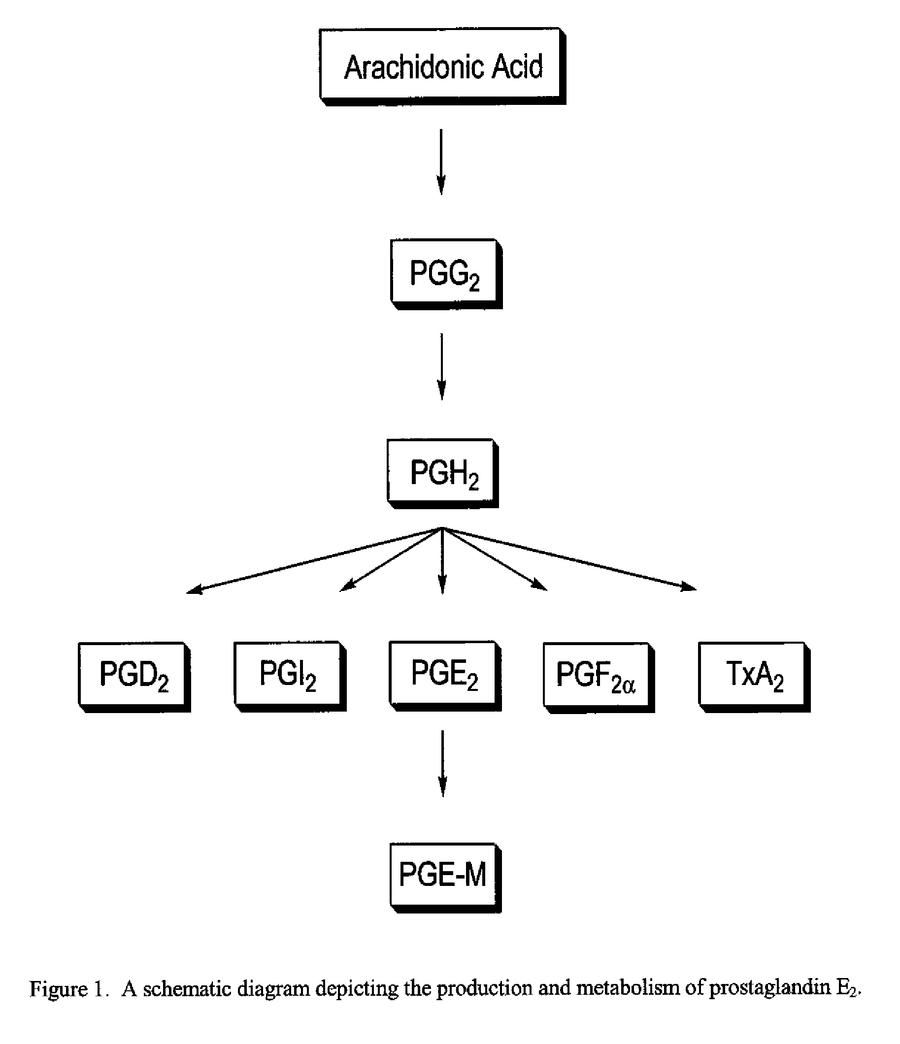 Patient Selection and Therapeutic Methods Using Markers of Prostaglandin Metabolism