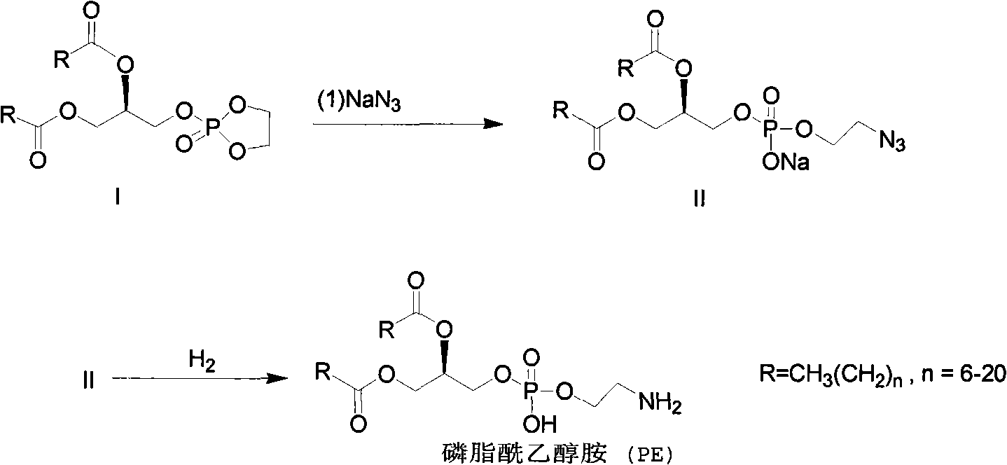 Method for synthesizing PE (Phosphatidyl Ethanolamine)