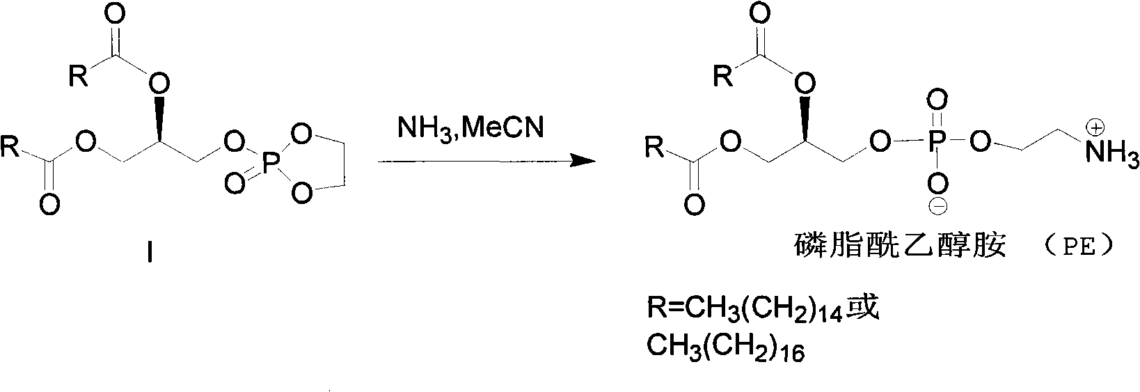 Method for synthesizing PE (Phosphatidyl Ethanolamine)