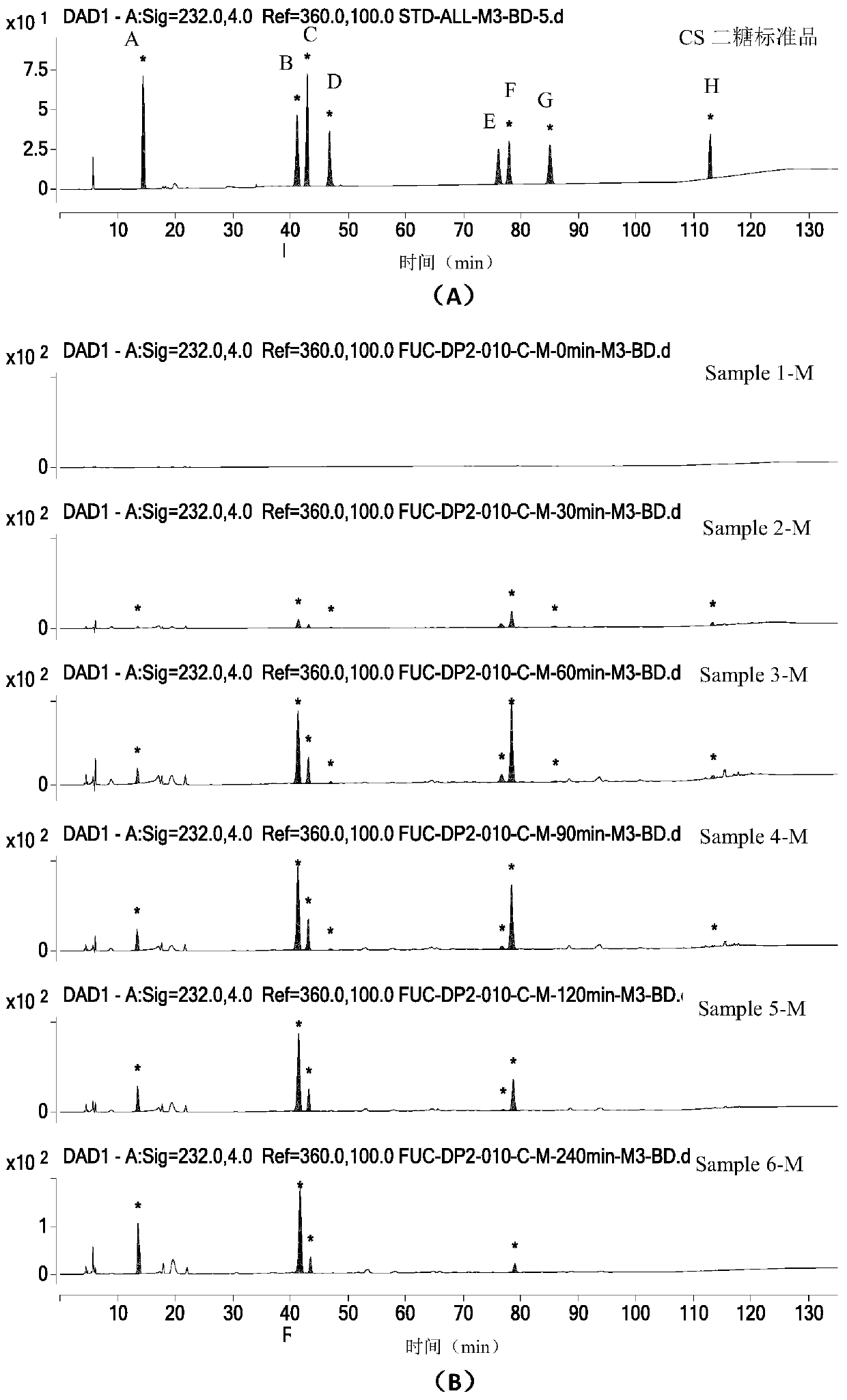 Low-molecular sea cucumber glycosaminoglycan and application thereof