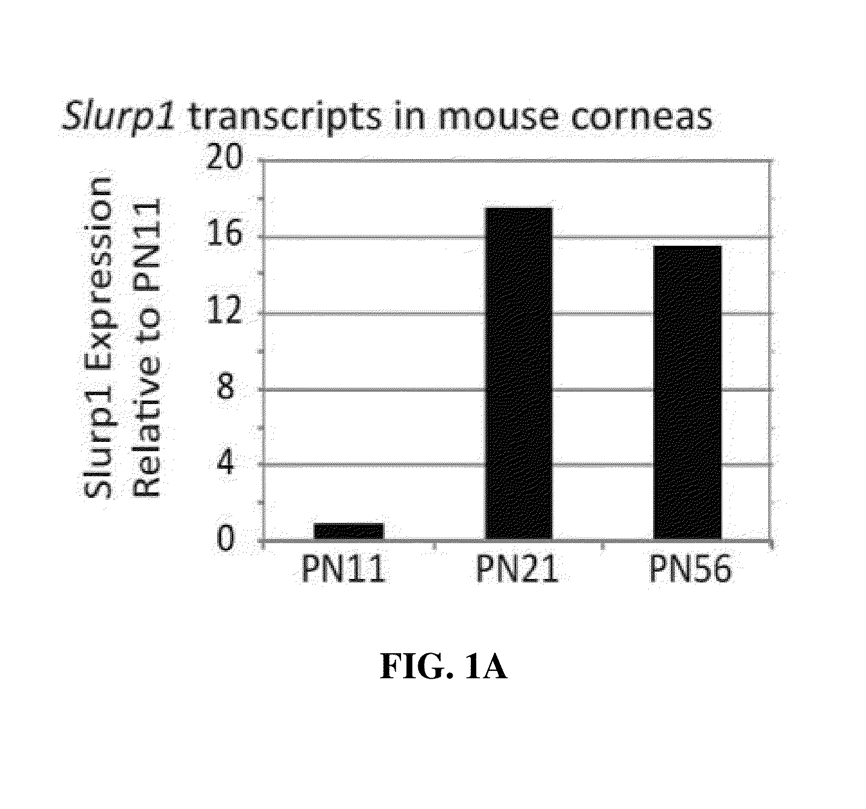 Use of slurp1 as an imunomodulatory molecule in the ocular surface