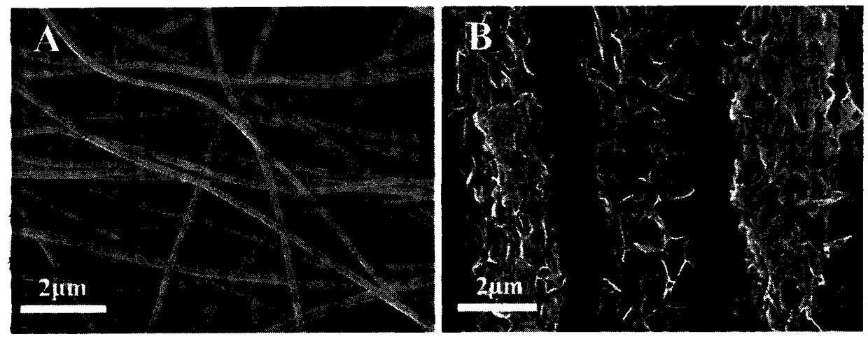 Polytriphenylamine-carbon nanofiber composite material, and preparation method and application thereof
