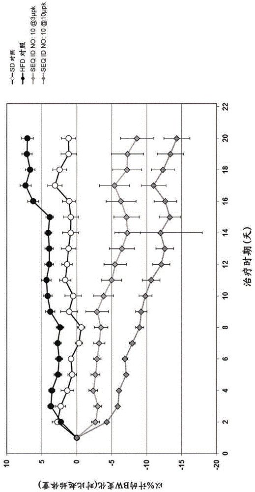 Exendin-4 derivatives