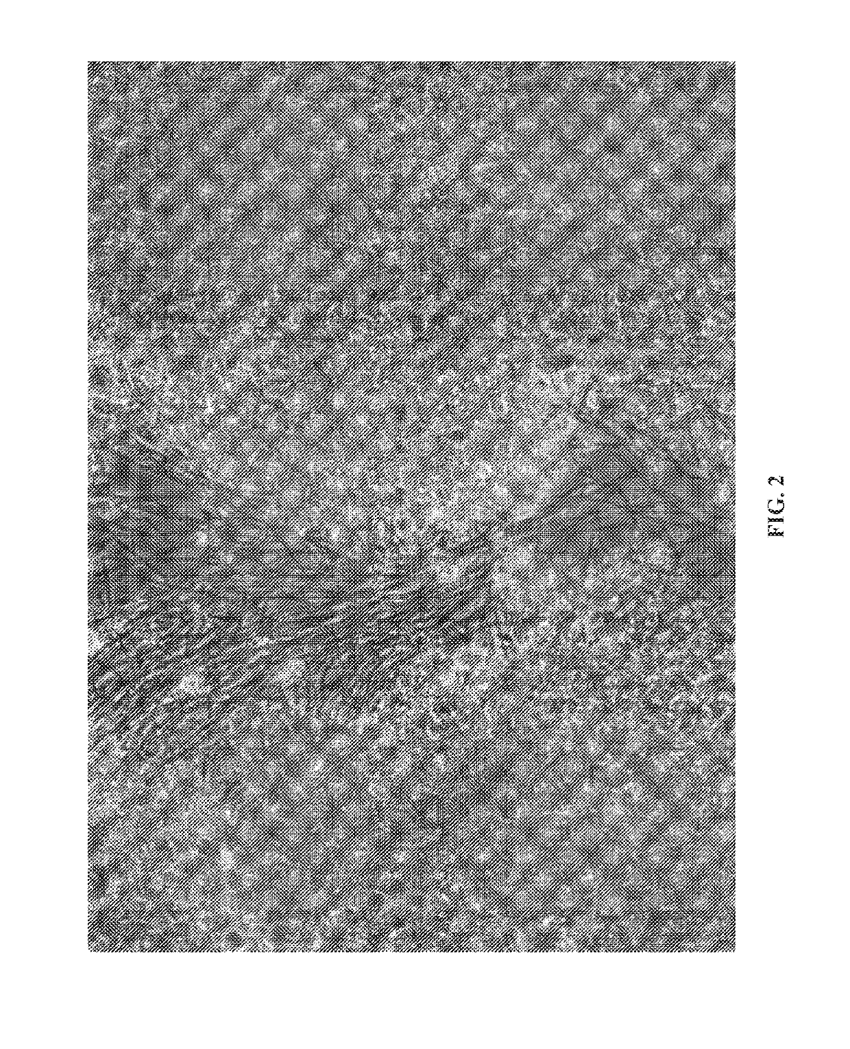 Fungal species, compositions derived therefrom, and uses thereof