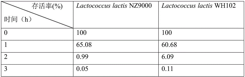 Acid-resistance lactococcus lactis and application thereof