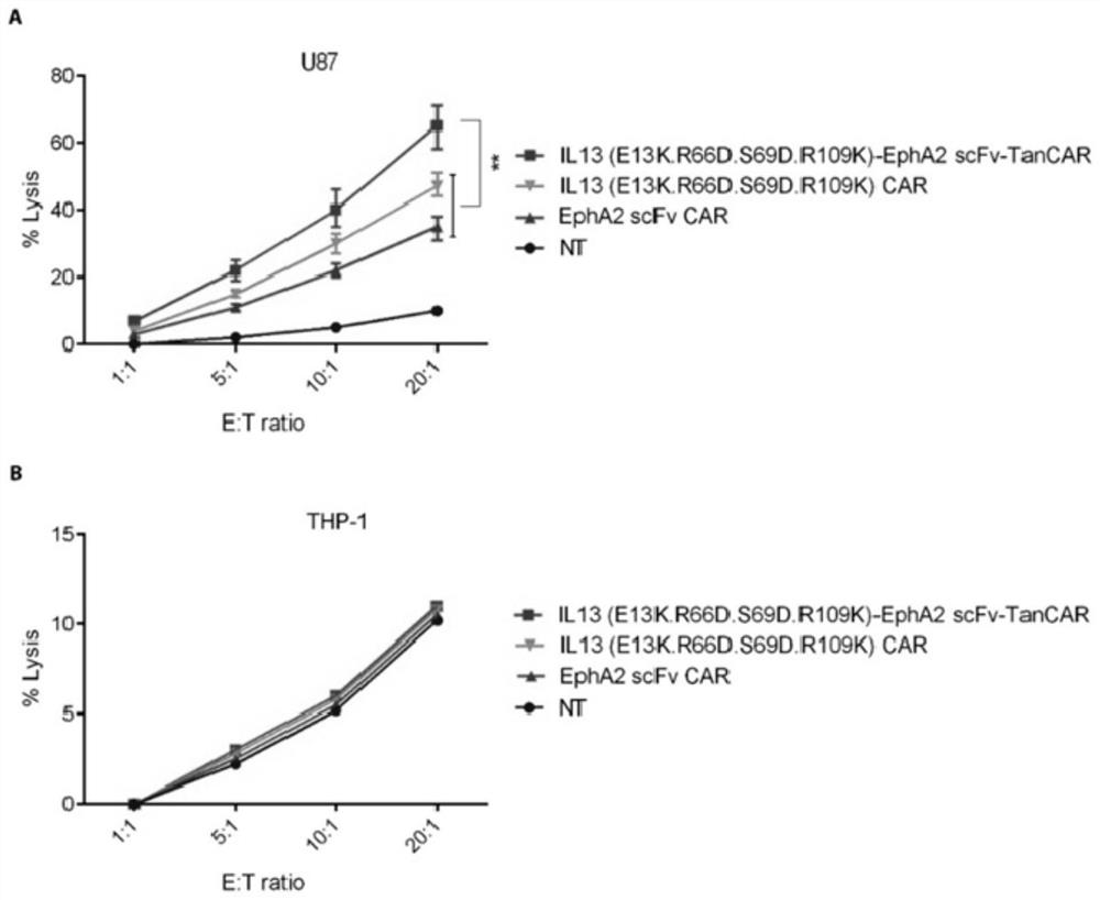 Construction and application of TanCAR