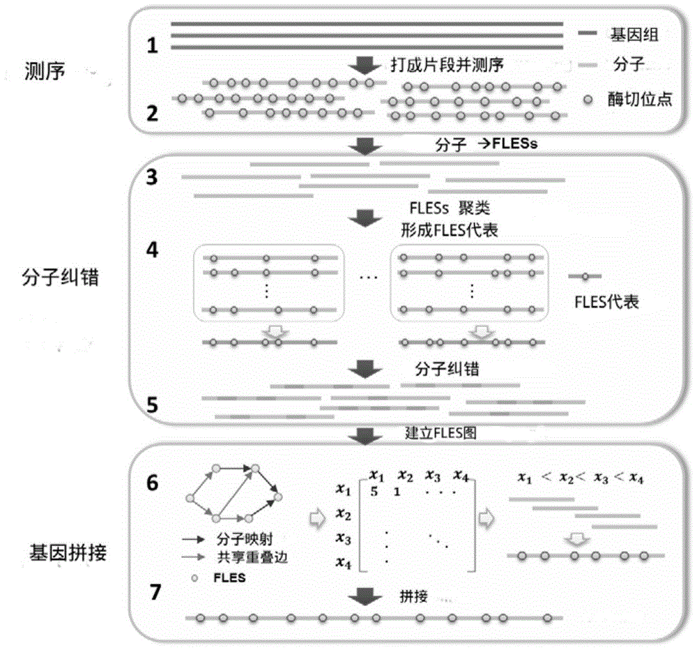 Genome restriction map splicing method and system