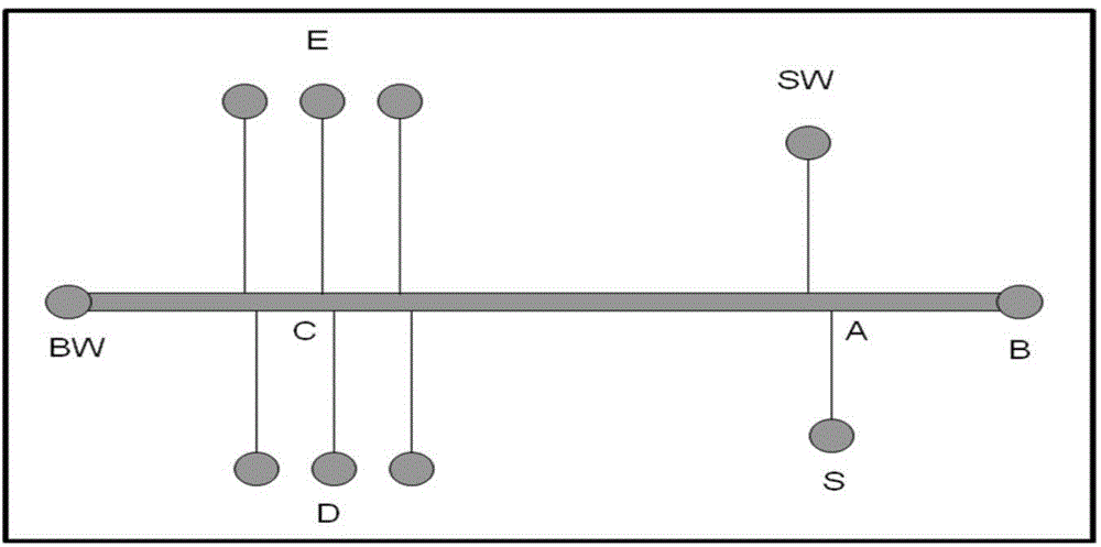 Novel large-channel electrophoresis microchip