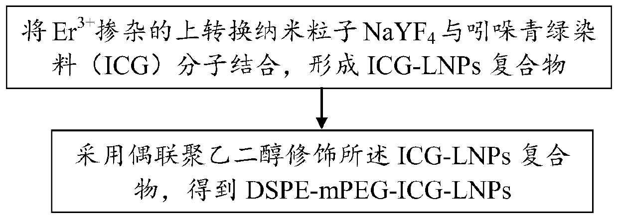 Rare earth up-conversion nano-diagnosis and treatment agent and preparation method thereof