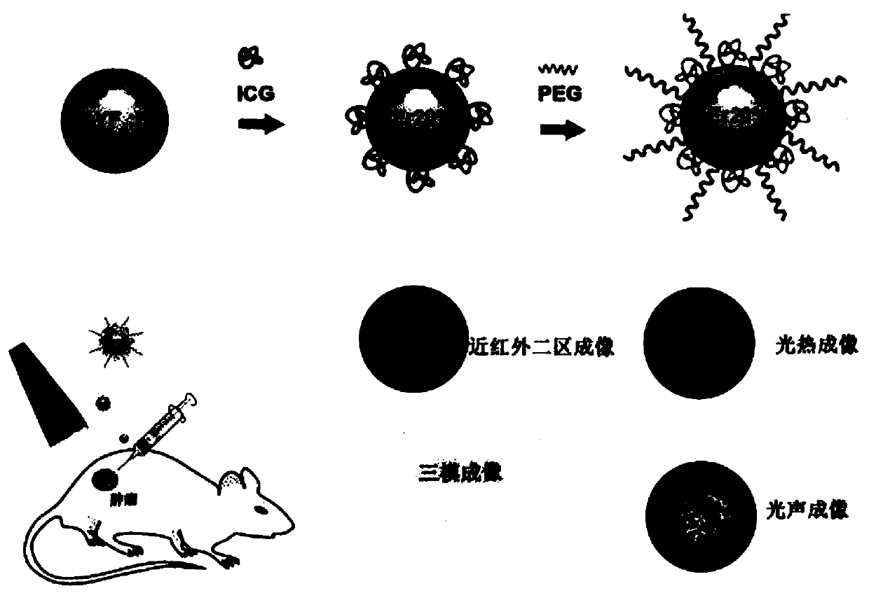 Rare earth up-conversion nano-diagnosis and treatment agent and preparation method thereof