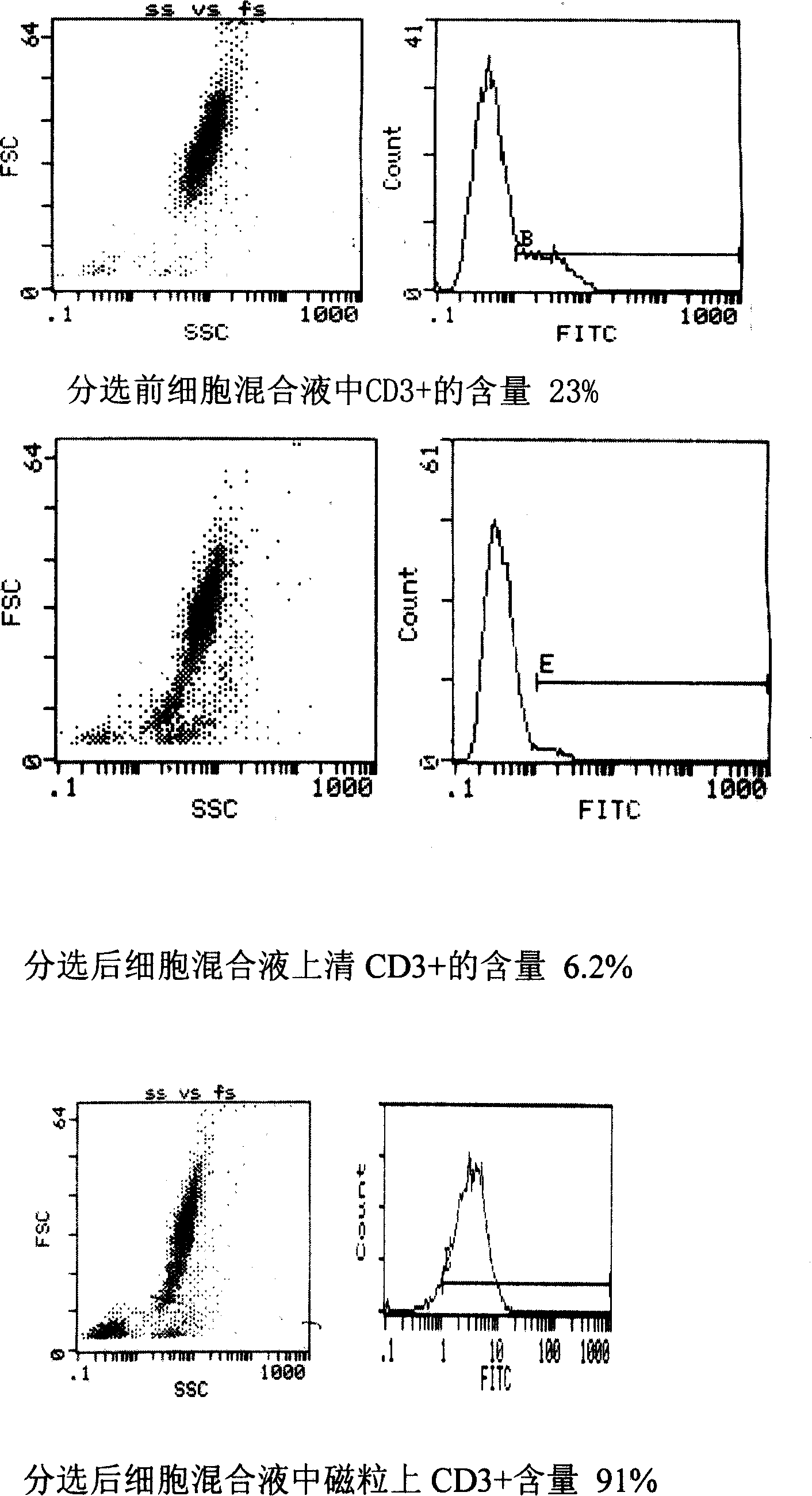 Method for carrying cell sorting by using gold magnetism particles