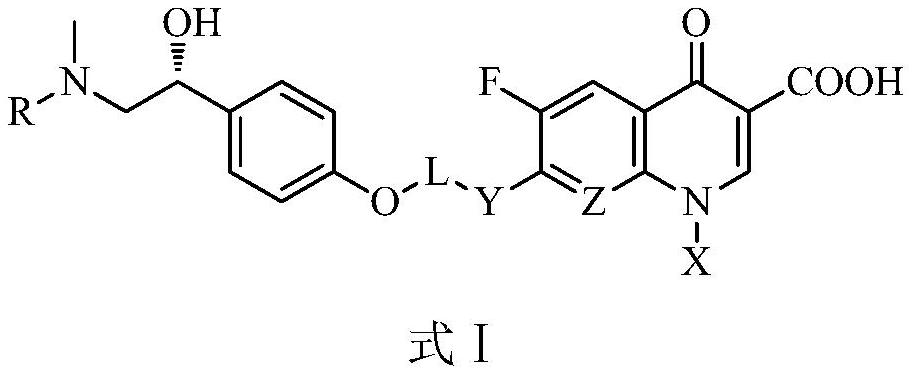 Synephrine fluoroquinolone derivatives as well as preparation method and application thereof