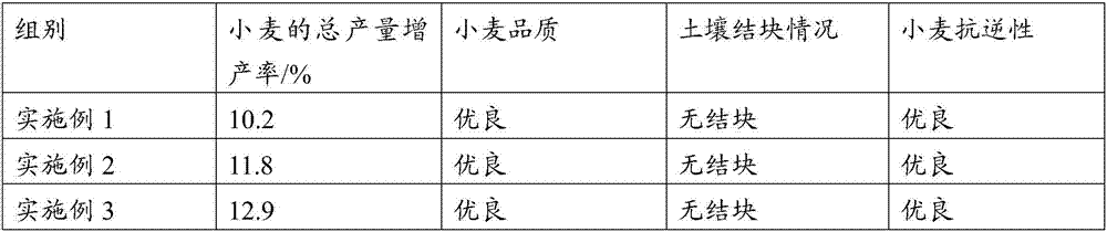 Method for preparing functional composite water-soluble fertilizer