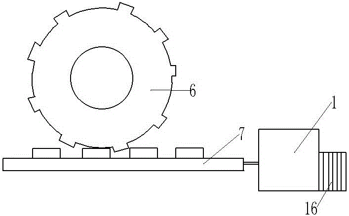 Needle mushroom cleaning conveyer