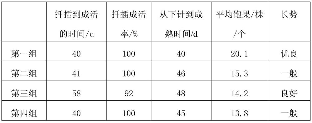 A method for promoting the fruiting of rhizome block wild peanut