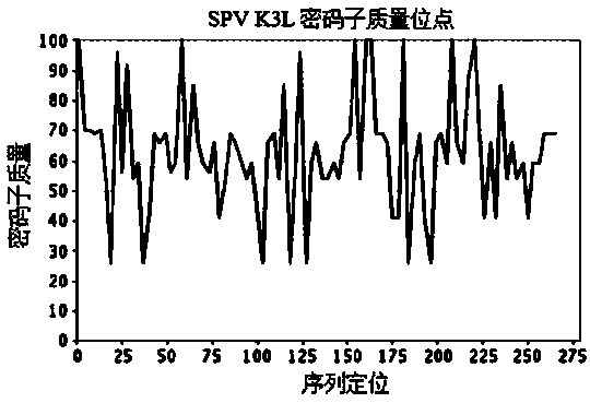 Monoclonal antibody against sheep pox virus k3l protein and its application