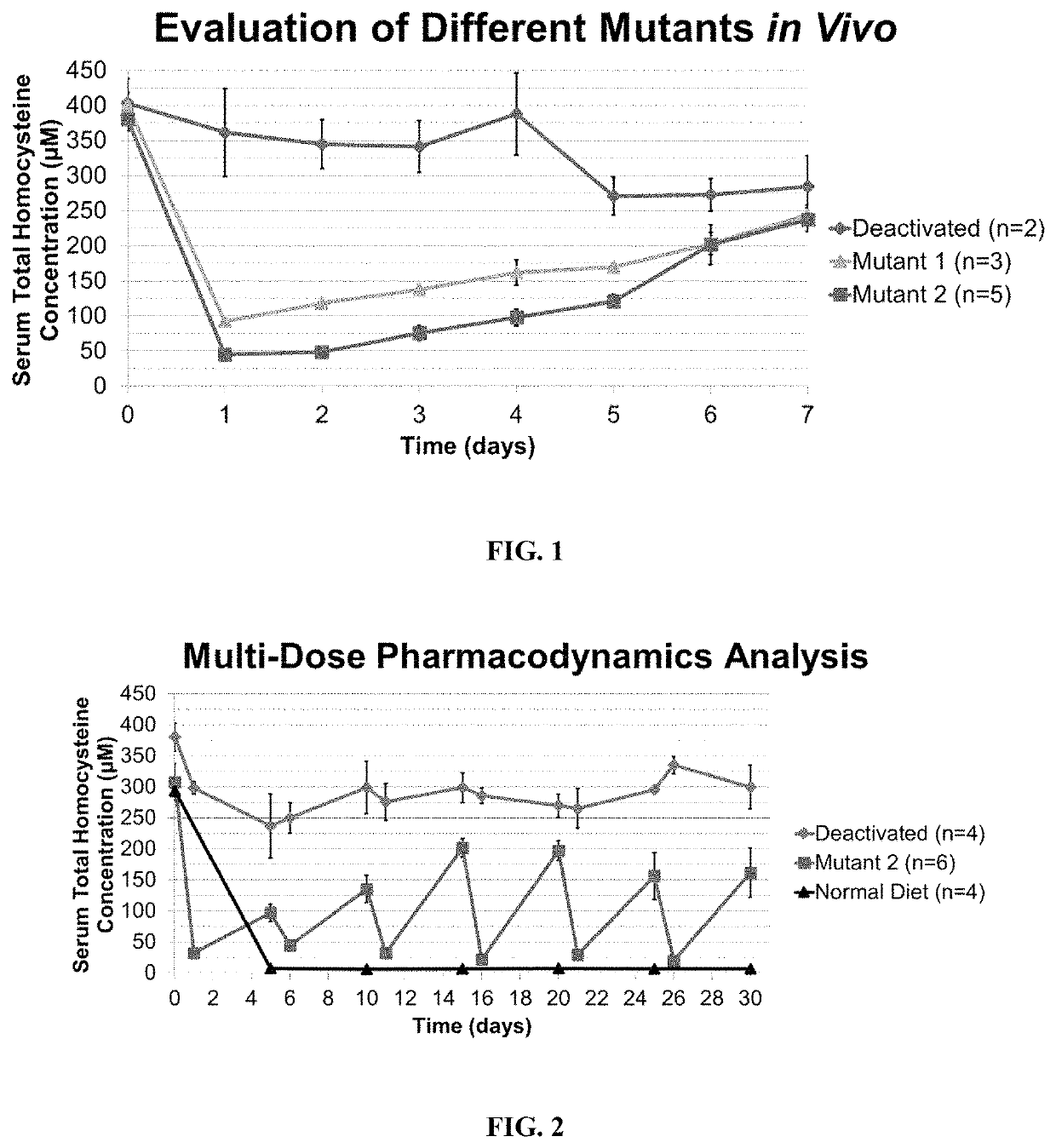 Human-enzyme mediated depletion of homocysteine for treating patients with hyperhomocysteinemia and homocystinuria