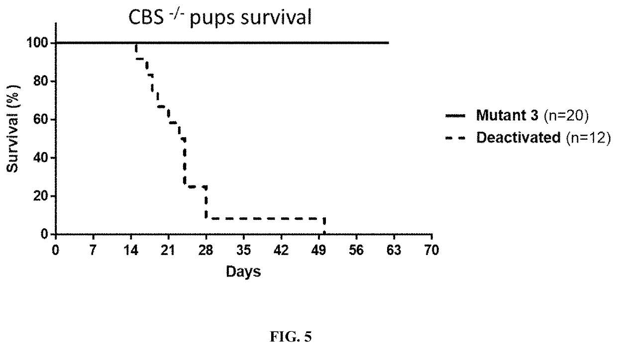 Human-enzyme mediated depletion of homocysteine for treating patients with hyperhomocysteinemia and homocystinuria