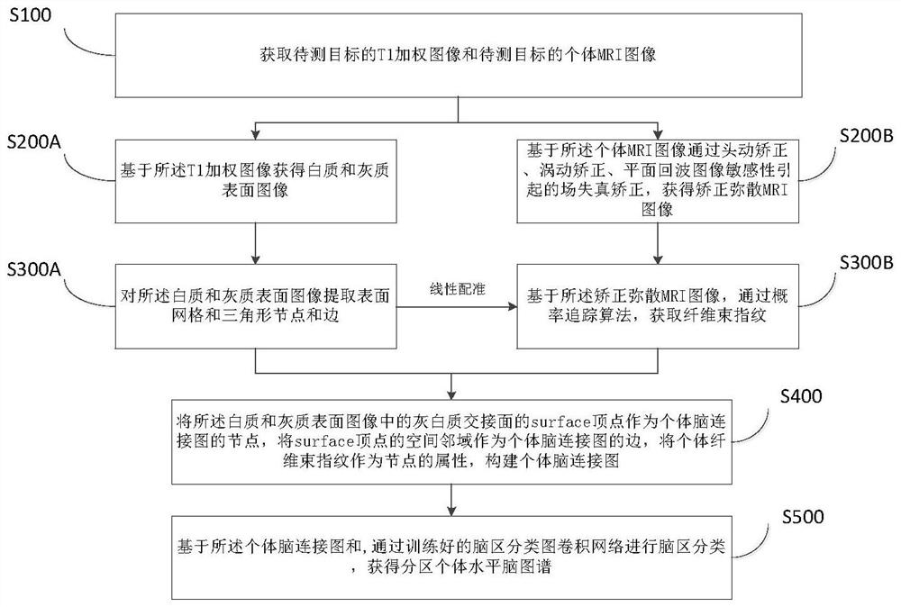 Group brain map individualization method, system and equipment based on individual brain connection map