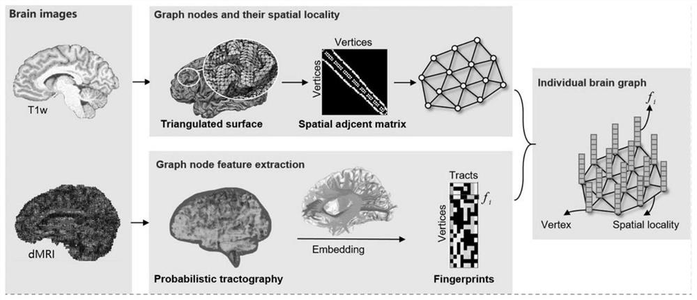 Group brain map individualization method, system and equipment based on individual brain connection map