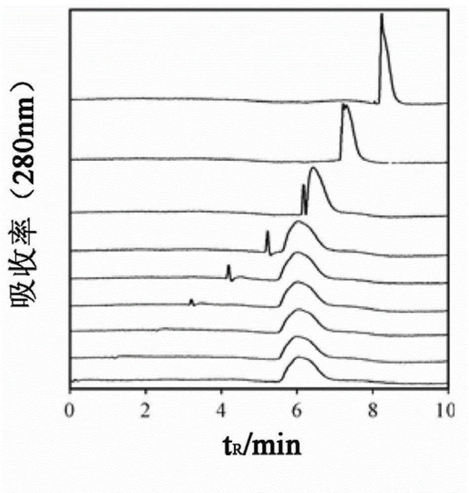 Multidimensional liquid phase chromatography separation system and separation method for protein separation