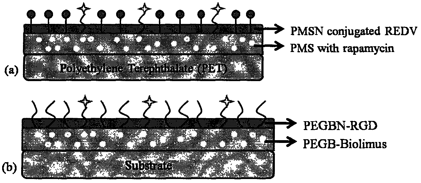 Endothelial cell selective composite coating material used for cardiovascular stent and preparation method thereof