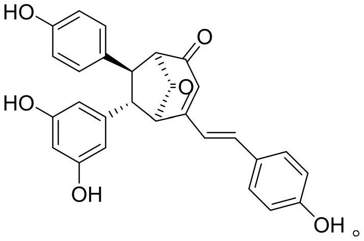 Application of vitisinol D in the preparation of xanthine oxidase inhibitory drugs