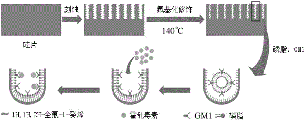 A real-time online detection method for cholera toxin based on porous silicon