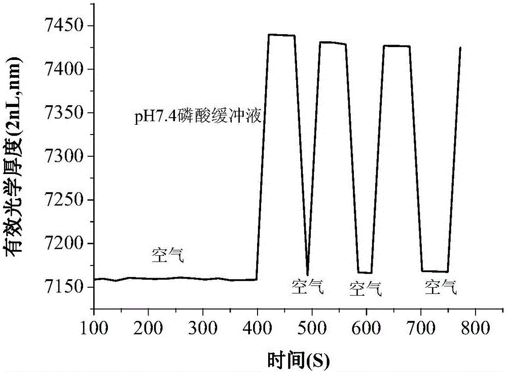 A real-time online detection method for cholera toxin based on porous silicon