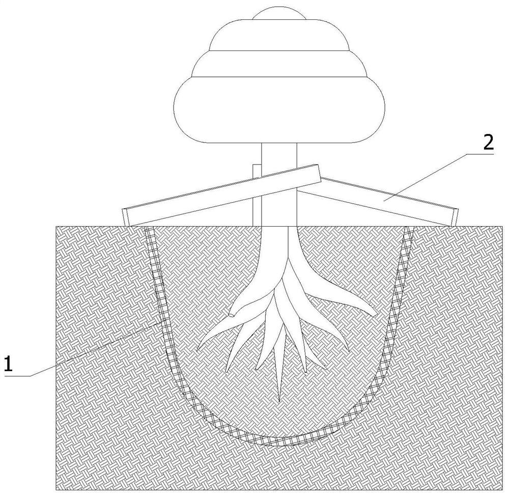Tree planting method with lodging tree root system protection function